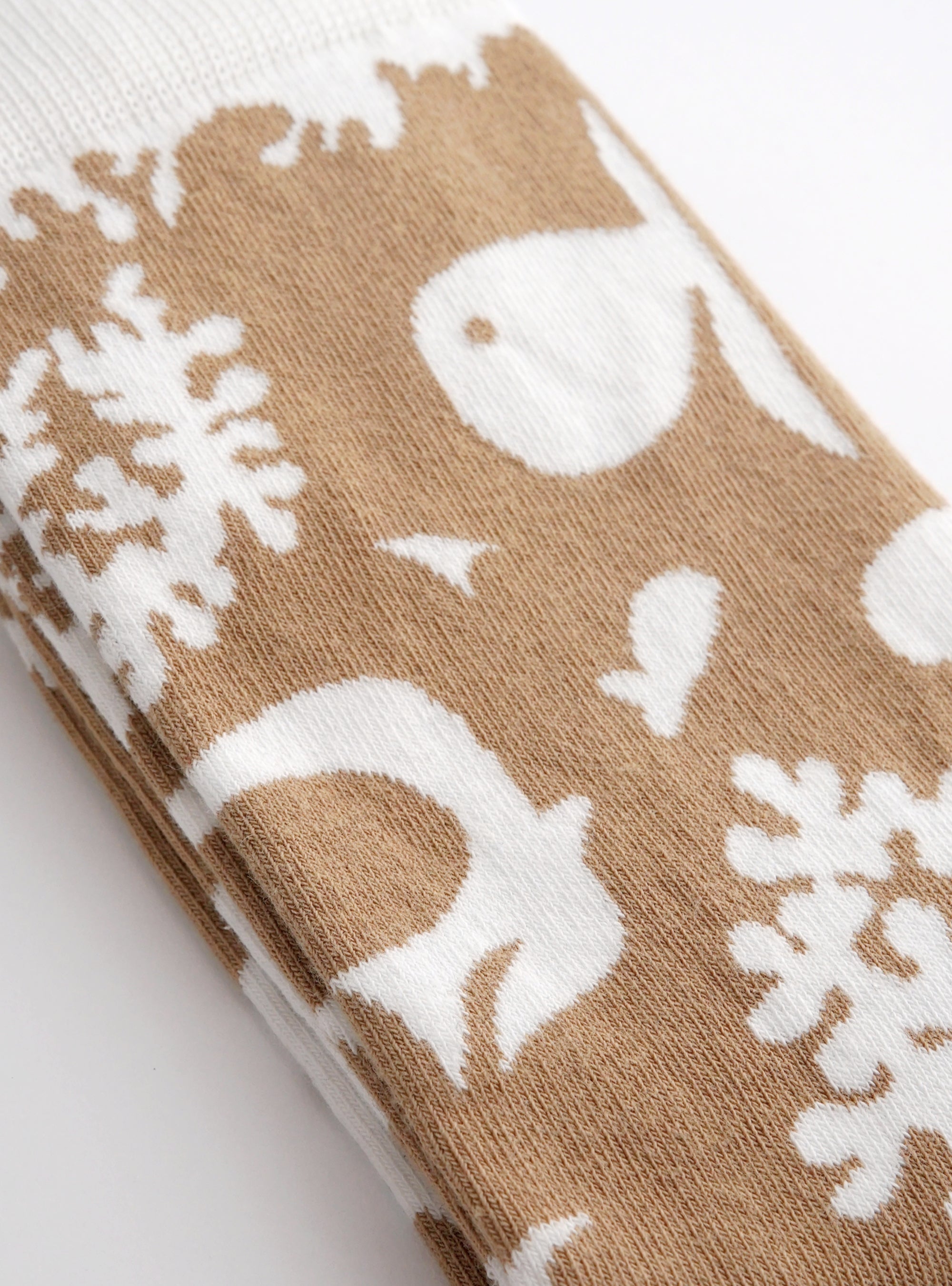 Ozeanien, der Himmel