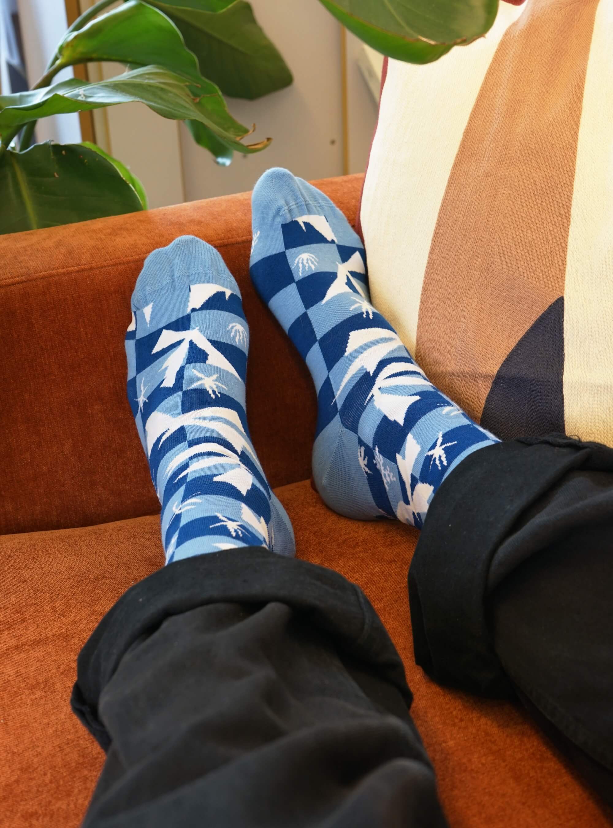 Henri Matisse 6er-Pack