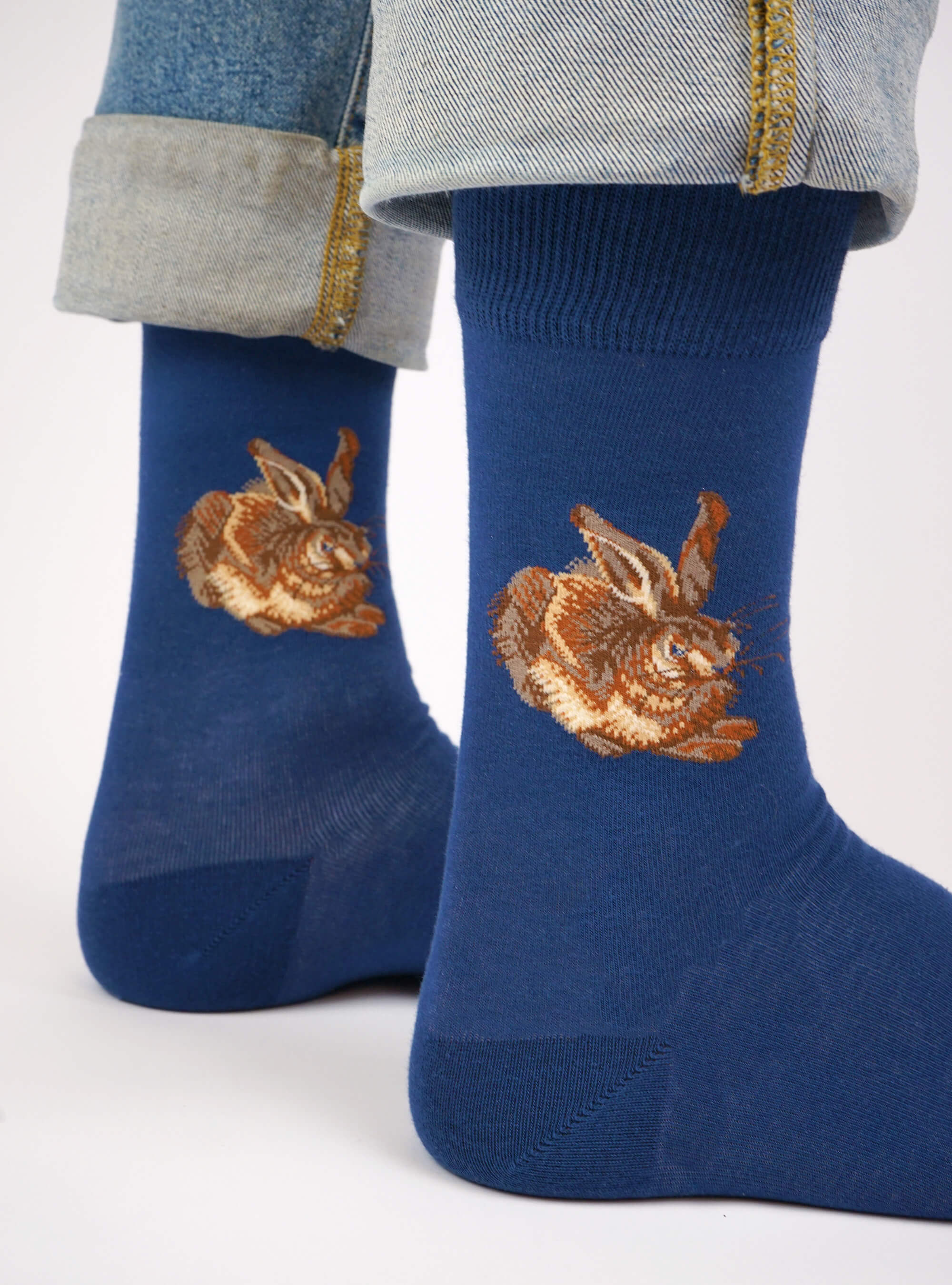 Deutsche Meister 3er-Pack